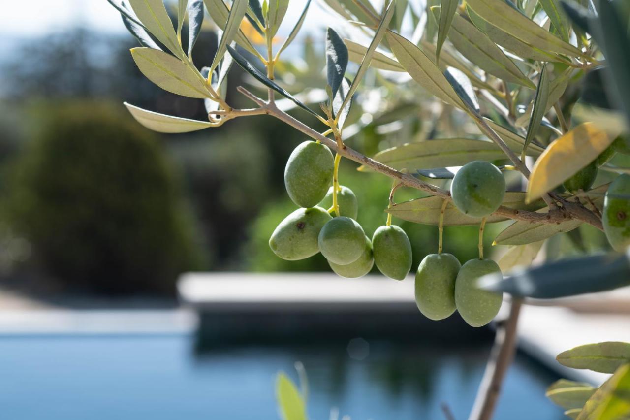 La Bastide Des Culs-Rousset Otel Marsilya Dış mekan fotoğraf